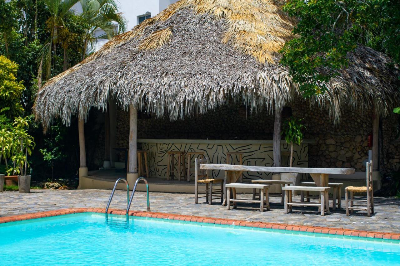 Afreeka Beach Hotel Las Terrenas Exterior photo
